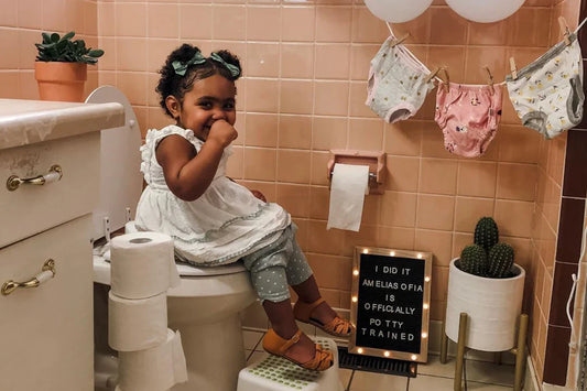 Little Step, Big Wins: Navigating Toilet Training with Success
